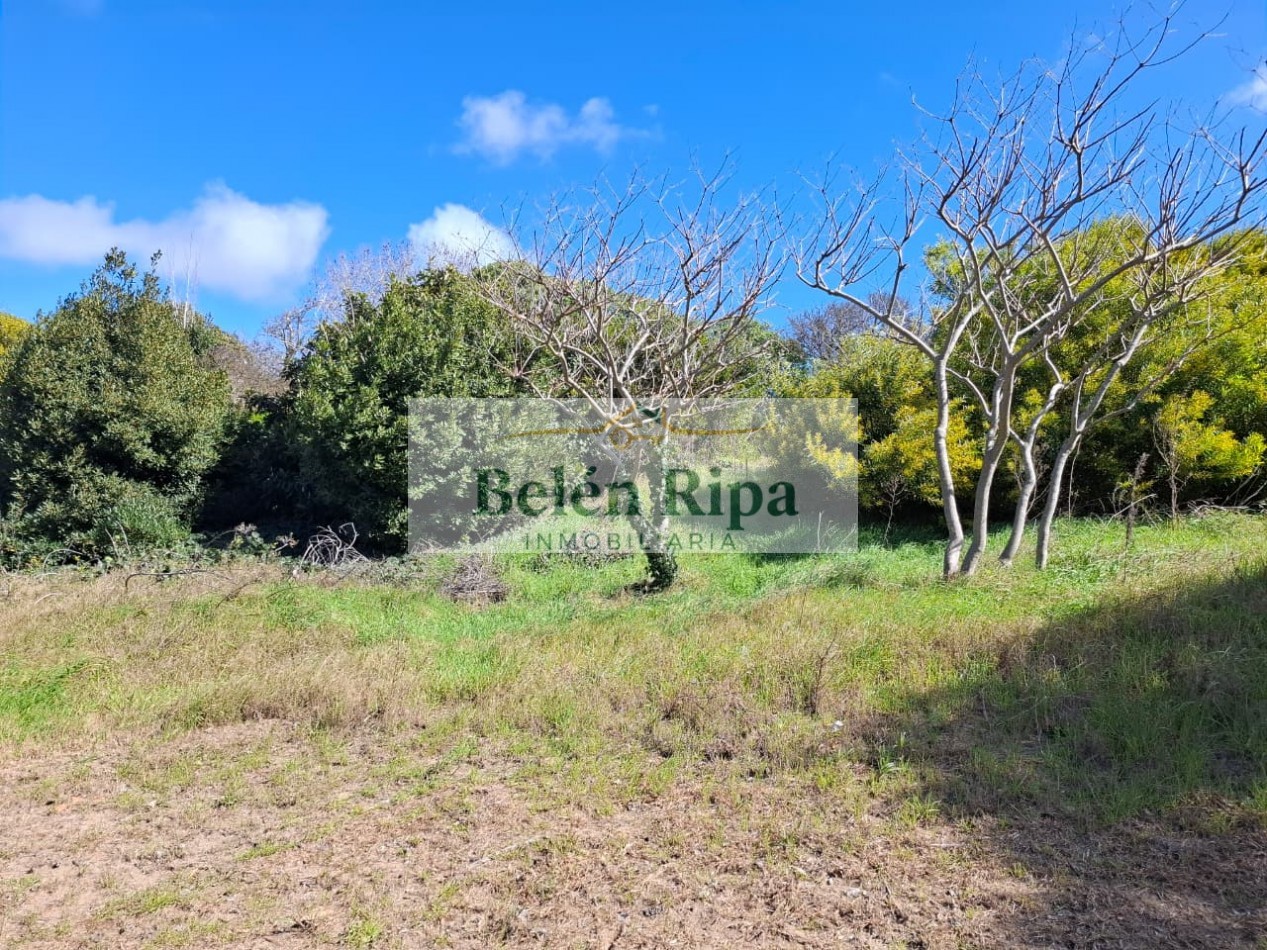 LOTE VENTA VALERIA DEL MAR A 300 MTRS DEL MAR cerca de Carilo