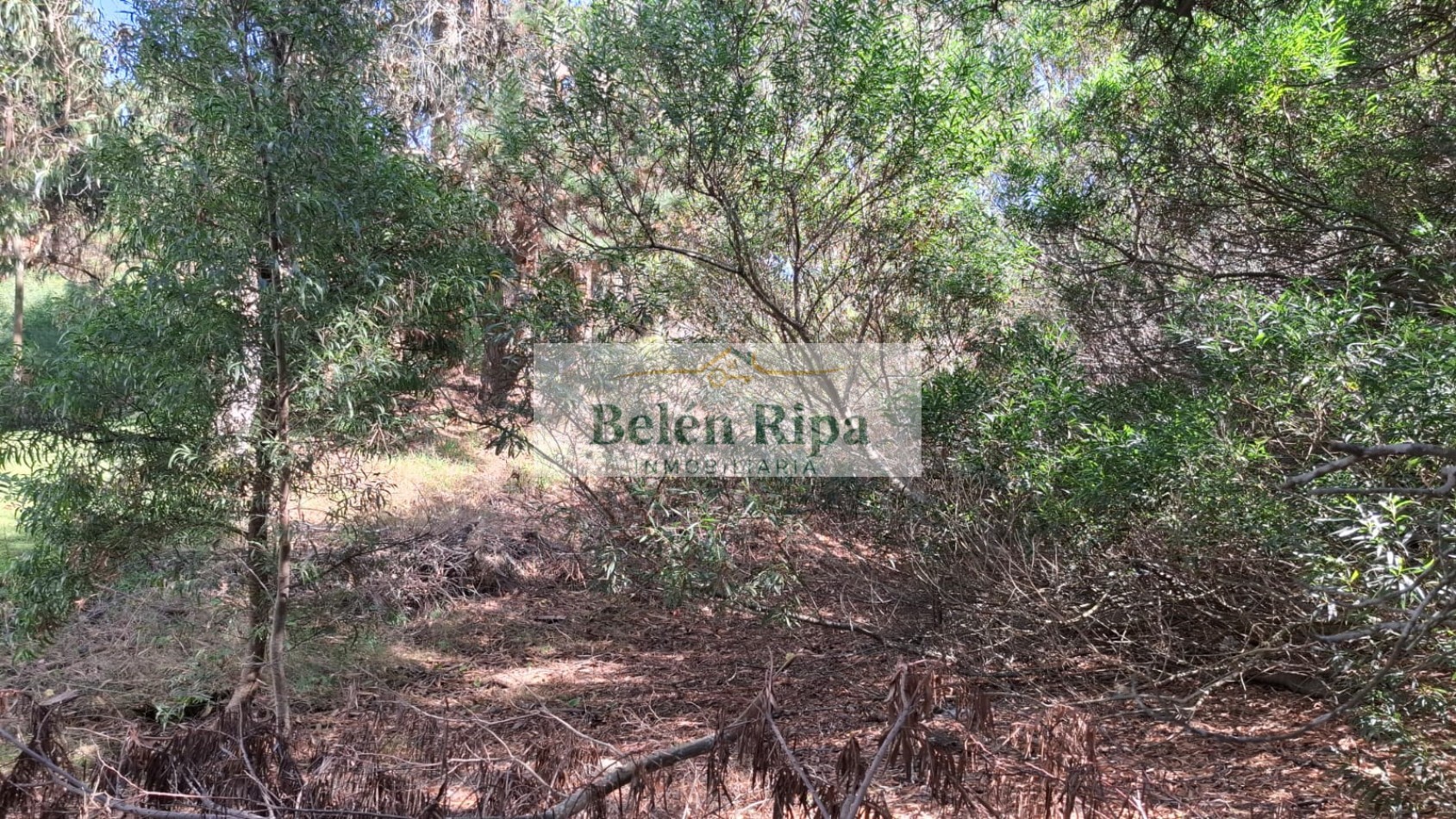 Lote en Venta en Costa Esmeralda Senderos III