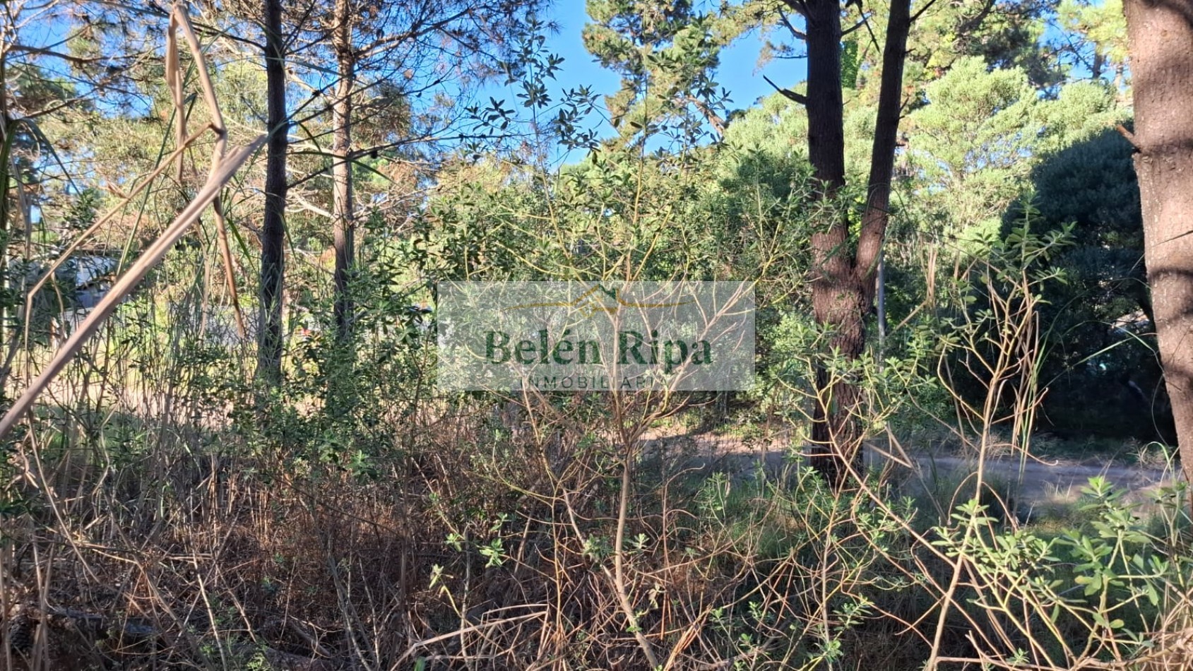 Lote en venta Valeria del Mar 