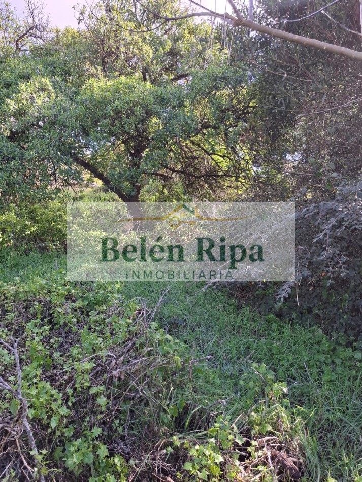 LOTE VENTA VALERIA DEL MAR A 300 MTRS DEL MAR cerca de Carilo