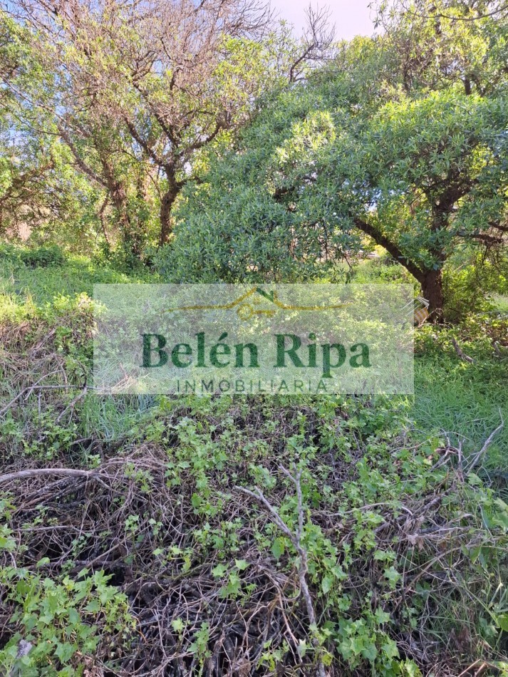 LOTE VENTA VALERIA DEL MAR A 300 MTRS DEL MAR cerca de Carilo