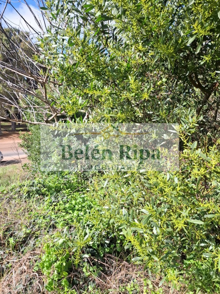 LOTE VENTA VALERIA DEL MAR A 300 MTRS DEL MAR cerca de Carilo