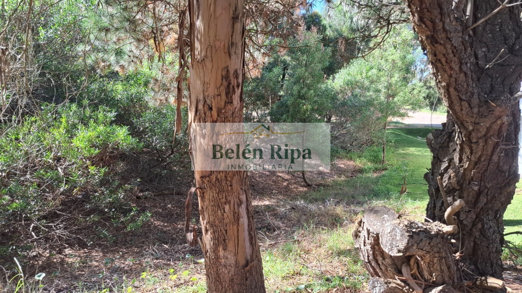 Lote en Venta en Costa Esmeralda Senderos III