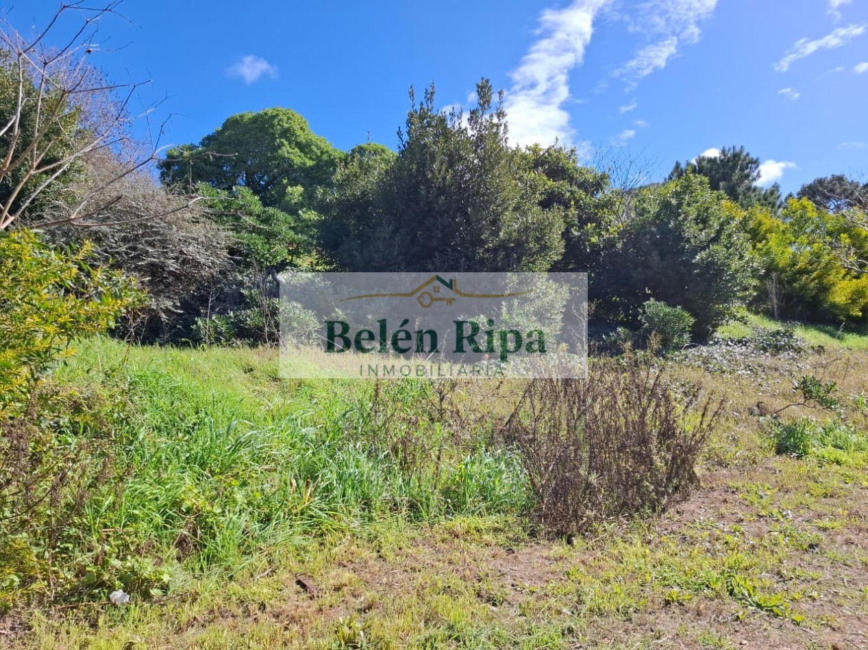 LOTE VENTA VALERIA DEL MAR A 300 MTRS DEL MAR cerca de Carilo