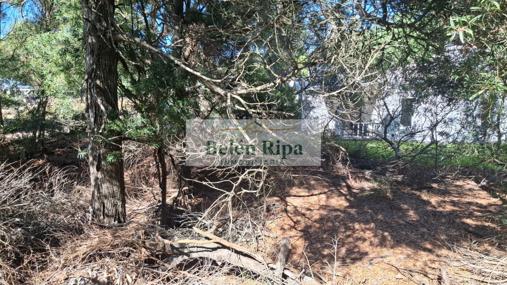 Lote en Venta en Costa Esmeralda Senderos III