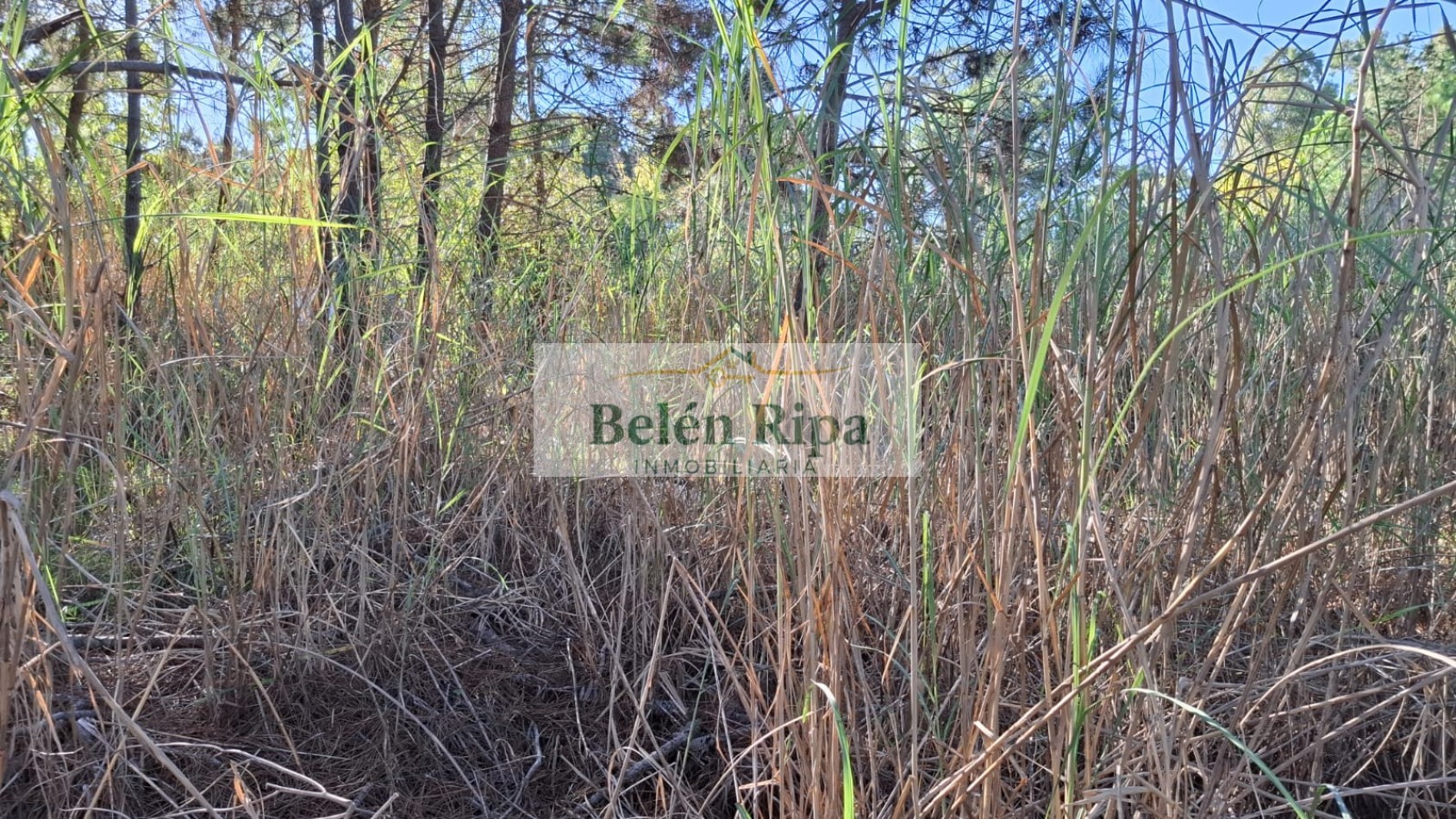 Lote en venta Valeria del Mar 