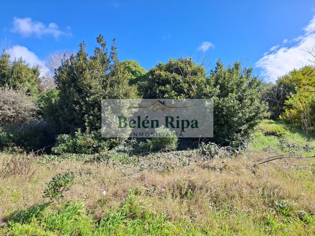 LOTE VENTA VALERIA DEL MAR A 300 MTRS DEL MAR cerca de Carilo